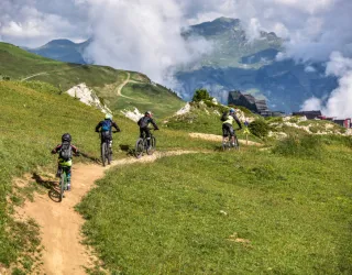 VTT2017-1173bis.jpg
