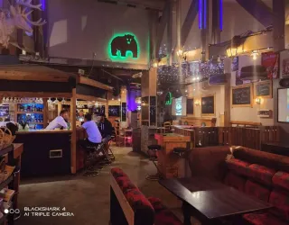 The White Bear