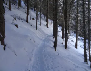 Schneeschuhroute Taillette