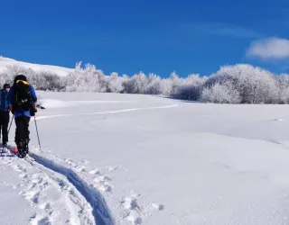 ski de randonnée depuis Valezan