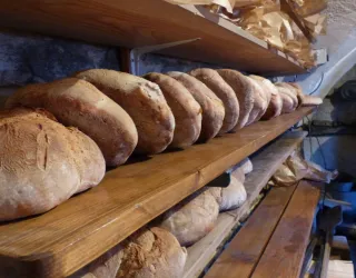 fournée de pains et brioches