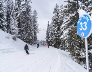 Piste Mont Blanc