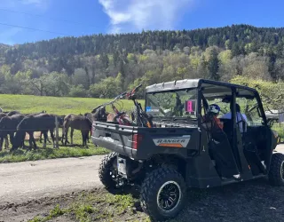 Randonnée Buggy Passager - ELPRO