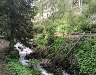 Chemin direction La Roche