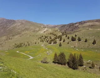 Vallon de Foran