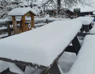 Table de pique nique