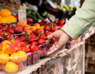 Marché des producteurs