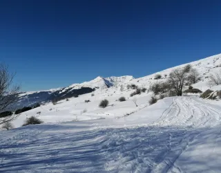 Balade à raquettes - Boucle des Fours_La Plagne Tarentaise