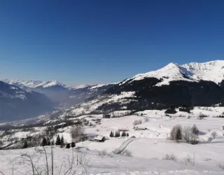Balade à raquettes - Boucle des pâturages_La Plagne Tarentaise