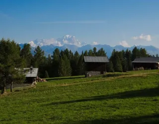 Nature et découverte I L'utilisation des plantes de montagne_Montchavin-les-Coches