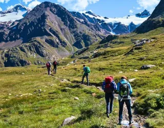 Nature et découverte I Le chemin des Vernettes_Montchavin-les-Coches
