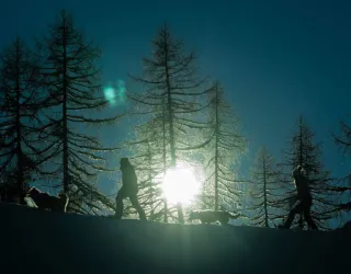 Musher-Abend!_Montchavin-les-Coches