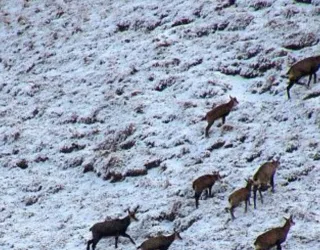 Sortie raquettes : petites histoires d'une vallée glaciaire_Champagny-en-Vanoise