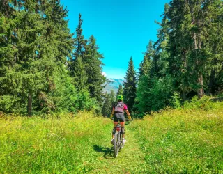 Itinéraire VTT Bois Croizelin