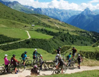 VTT
