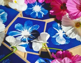 Cours de cyanotype_Aime-la-Plagne