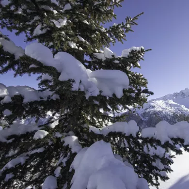 Die Natur ist beruhigend! 