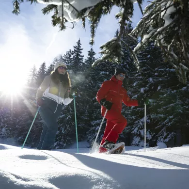Schneeschuhwanderung in den Tannenwäldern von La Plagne