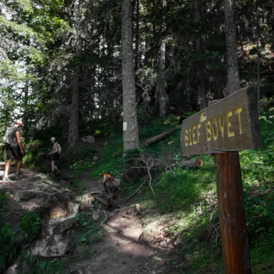 Weg von bief bovet im Sommer