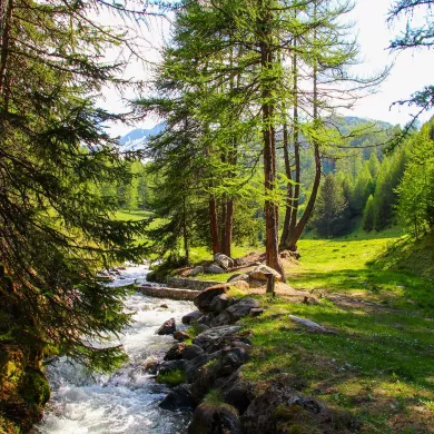 DESTI_Bief-bovet-ruisseau_OTGP