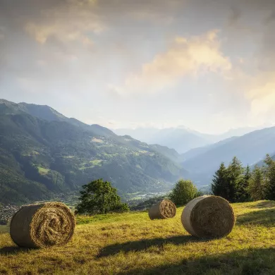 La Plagne Vallée im Sommer