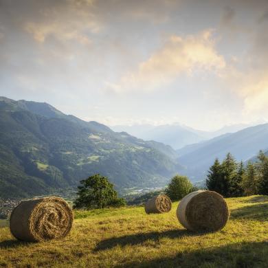 La Plagne Vallée im Sommer