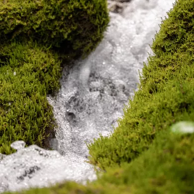 Wasserquelle La Plagne