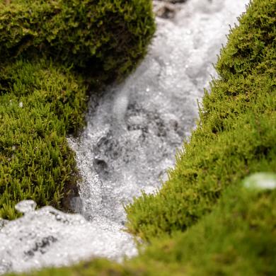 Wasserquelle La Plagne