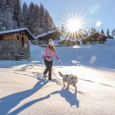 Hundeskischule La Plagne