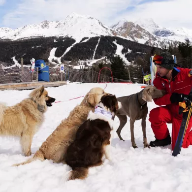 Hundeskischule La Plagne