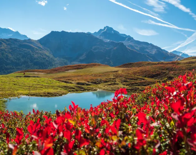 Route zum Wandern : Der See von Carroley_Montchavin-les-Coches