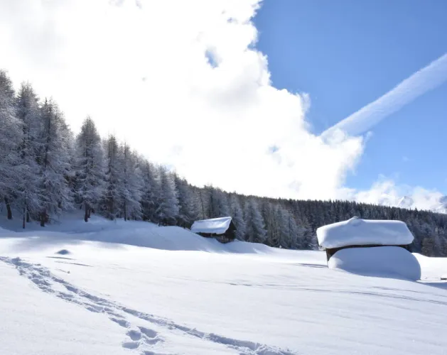 Route zum Wandern : Les Frasses_Montchavin-les-Coches