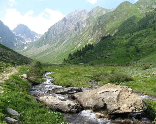 Sentier des canaux et alpages des Fours