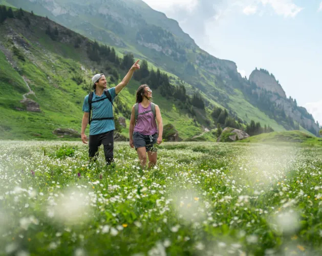Wanderroute: Pfad auf dem Plateau von Plan Pichu_Aime-la-Plagne