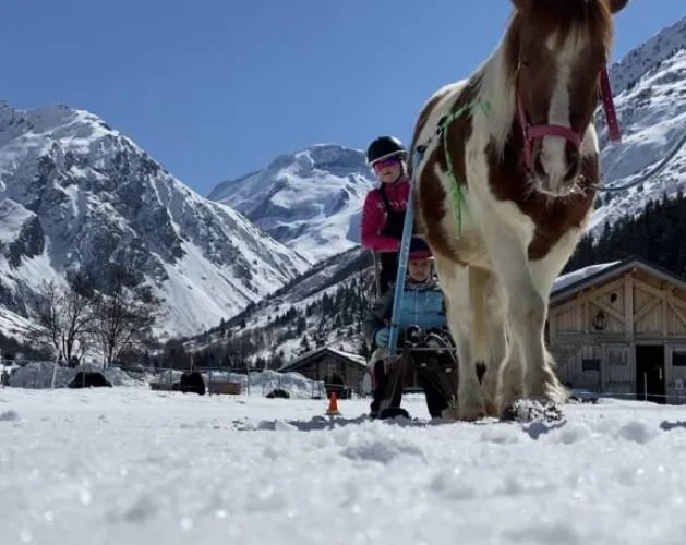 Poney luge