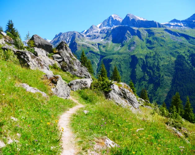Sur le sentier de Lécheron