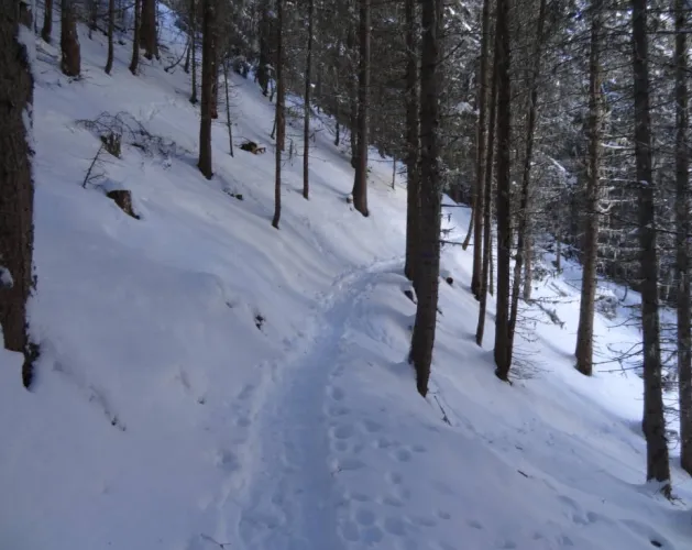Schneeschuhroute Taillette