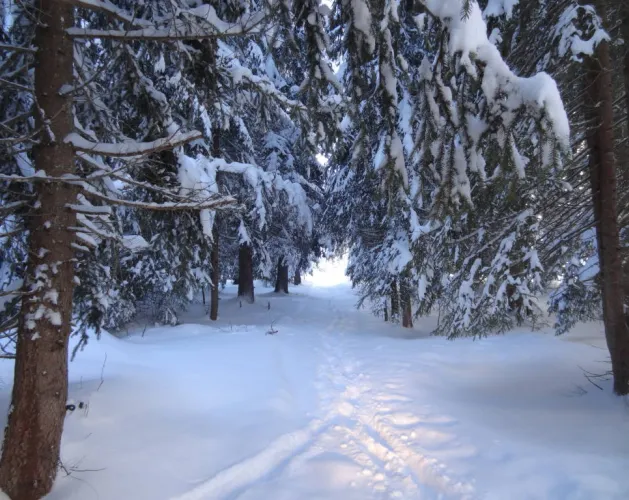 Schneeschuhroute Comba Damon