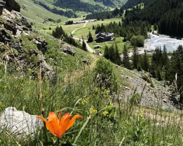 Champagny-le-Haut