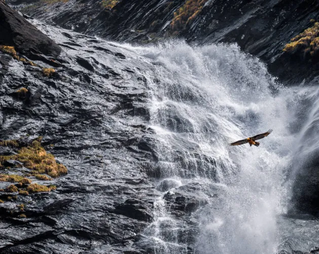 Concours photo à Champagny-en-Vanoise_Champagny-en-Vanoise