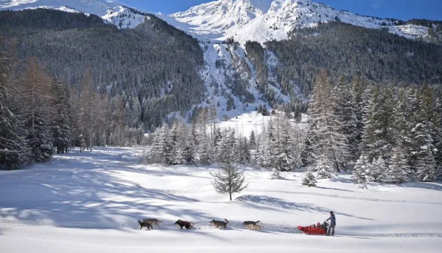 Generation Musher - Hundeschlittenfahren