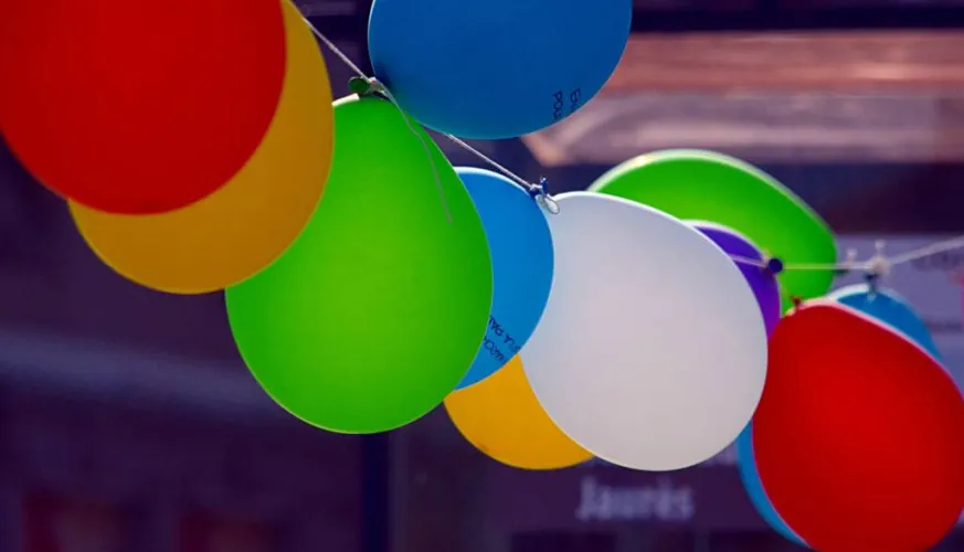 Fête des Coches
