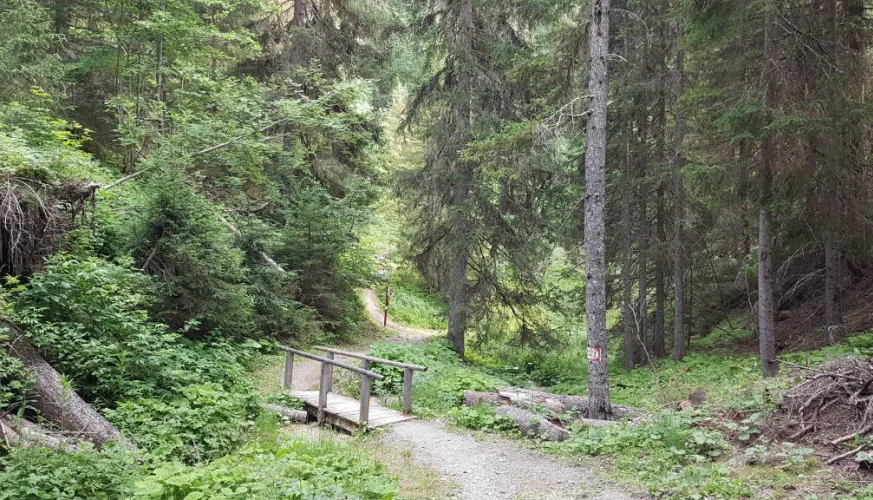 Sentier Rocher du Glaisy