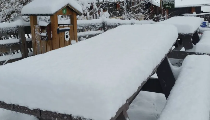 Table de pique nique