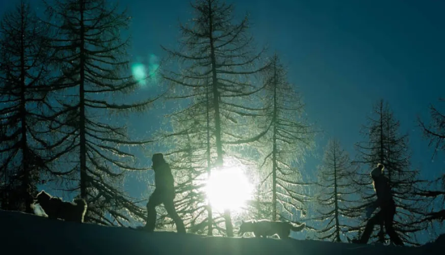 Musher-Abend!_Montchavin-les-Coches