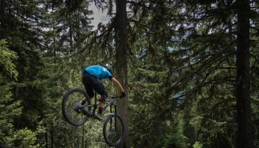 Itinéraire VTT Forêt de Miollet_Champagny-en-Vanoise