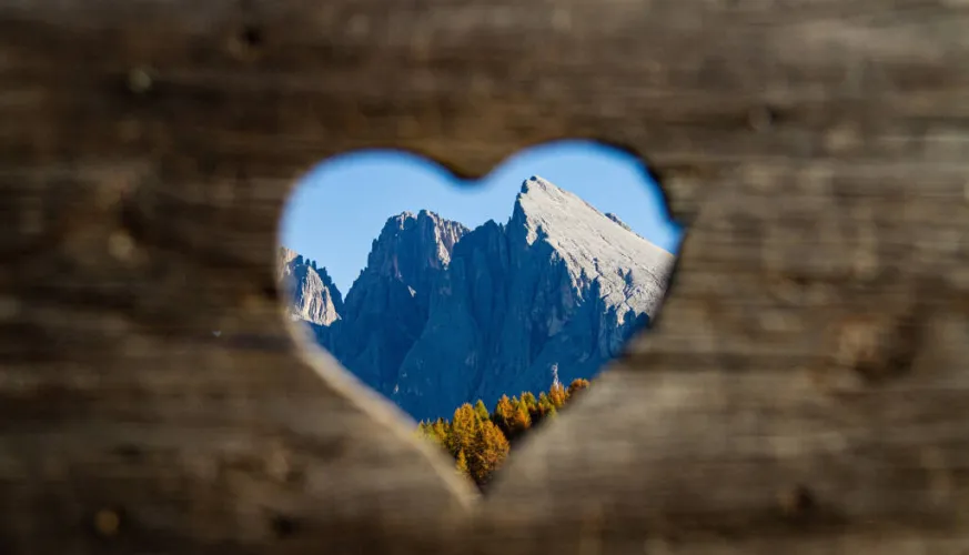 Film |  La nature nous parle_La Plagne Tarentaise