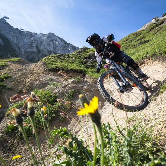 Mountainbike Downhill in La Plagne