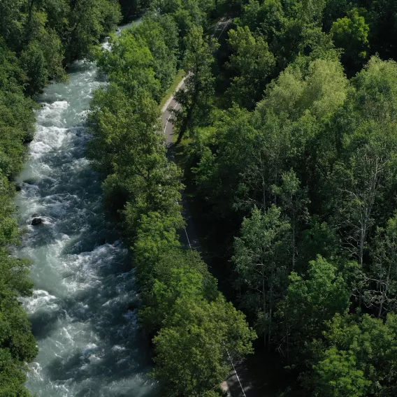 Grüner Weg Radfahren La Plagne
