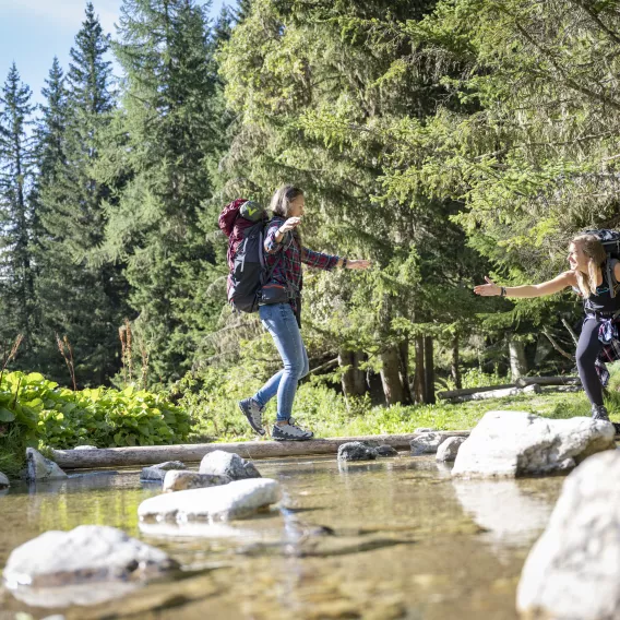 wandern-foret-©JNJPhoto